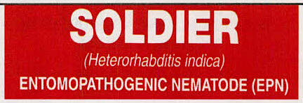 Soldier Device mark 3422782 Trademark