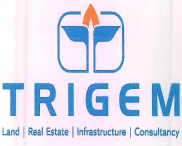 Trigem Device mark 3482142 Trademark