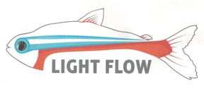 Light Flow Device mark 3446167 Trademark