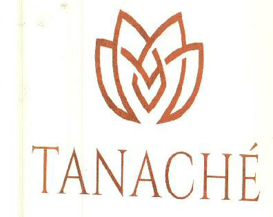 Tanache Device mark 3473897 Trademark