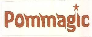 Pommagic Device mark 3241528 Trademark