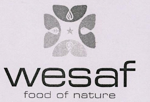 Wesaf Food Of Nature Device mark 3241704 Trademark