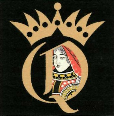 Q Device mark 3249528 Trademark