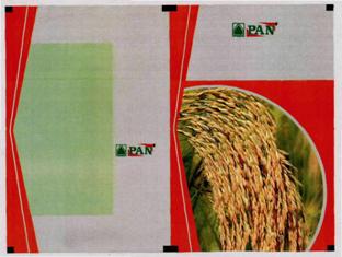 Pan (label) Device mark 3335358 Trademark