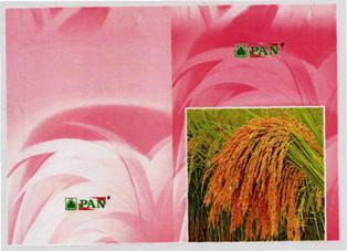 Pan (label) Device mark 3335359 Trademark