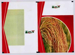 Pan (label) Device mark 3335360 Trademark