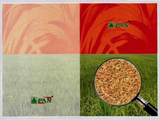 Pan (label) Device mark 3335361 Trademark