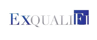 Exqualifi Device mark 3452123 Trademark