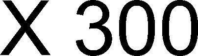 X 300 Device mark 3460070 Trademark