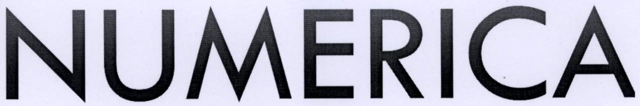 Numerica Device mark 2199310 Trademark