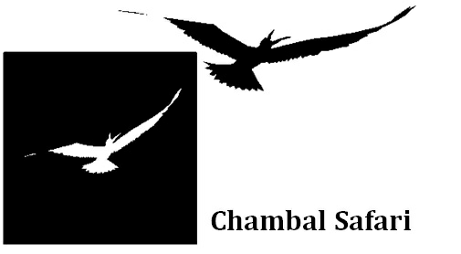 Chambal Safari (word And Device) Device mark 3285492 Trademark