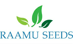 Raamu Seeds Device mark 3517927 Trademark