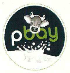 Pbay Device mark 3493099 Trademark
