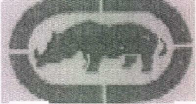 Device Of Rhino Device mark 3514117 Trademark