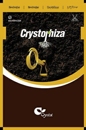 Crystorhiza Device mark 3517633 Trademark