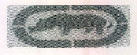 Device Of Rhino Device mark 3514029 Trademark