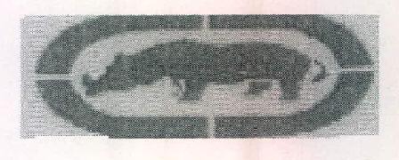 Device Of Rhino Device mark 3513982 Trademark