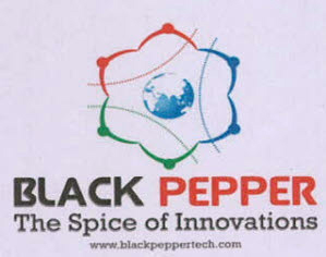 Black Pepper The Spice Of Innovations Device mark 3528235 Trademark