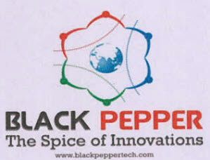 Black Pepper The Spice Of Innovations Device mark 3528236 Trademark