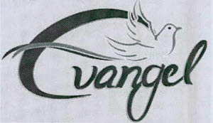 Vangel Device mark 3557770 Trademark