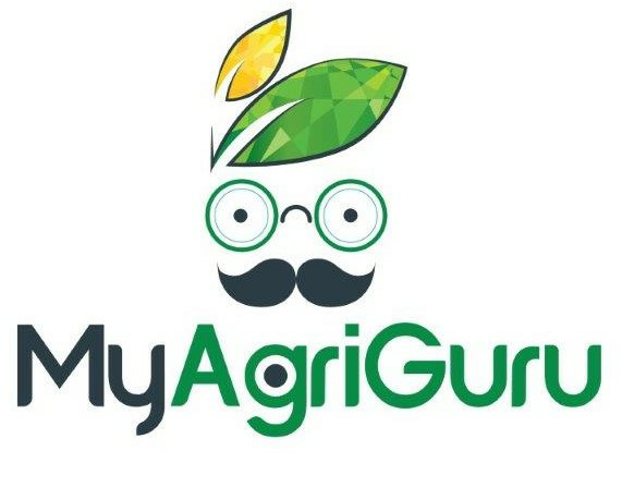 Myagriguru & Logo Device mark 3578646 Trademark