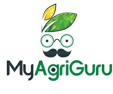 Myagriguru And Logo Device mark 3578648 Trademark
