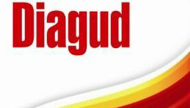 Diagud Device mark 3601362 Trademark