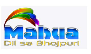 Mahua Dil Se Bhojpuri With Device Device mark 3589763 Trademark