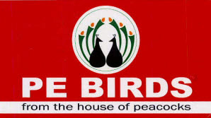 Pe Birds From The House Of Peacocks Device mark 3532134 Trademark
