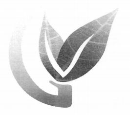 Device Of Leaves Device mark 3502077 Trademark