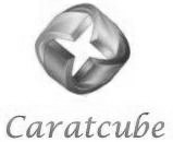 Caratcube Device mark 3600695 Trademark