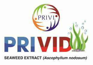 Privi Privid Label Device mark 3633934 Trademark