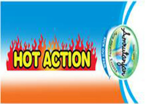 Amrutanjan Hot Action Label Device mark 3636446 Trademark