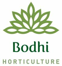 Bodhi Horticulture Device mark 3607827 Trademark