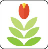 Device Of Leaves And Bud Device mark 3607995 Trademark