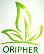 Oripher Device mark 3640417 Trademark