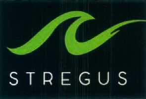Stregus Device mark 3646981 Trademark