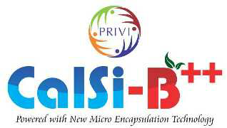 Privi Calsi - B++ Label Device mark 3681616 Trademark