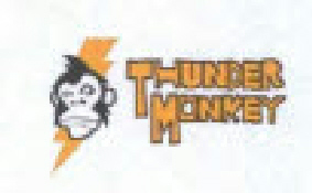 Thunder Monkey Device mark 3731795 Trademark