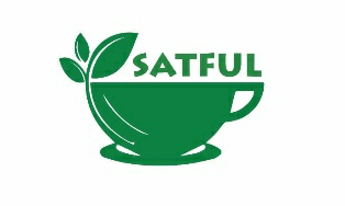 Satful Device mark 3661466 Trademark