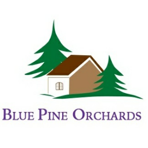 Blue Pine Orchards Device Device mark 3789969 Trademark