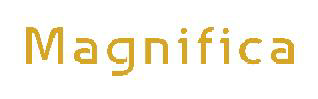 Magnifica Device mark 3796227 Trademark