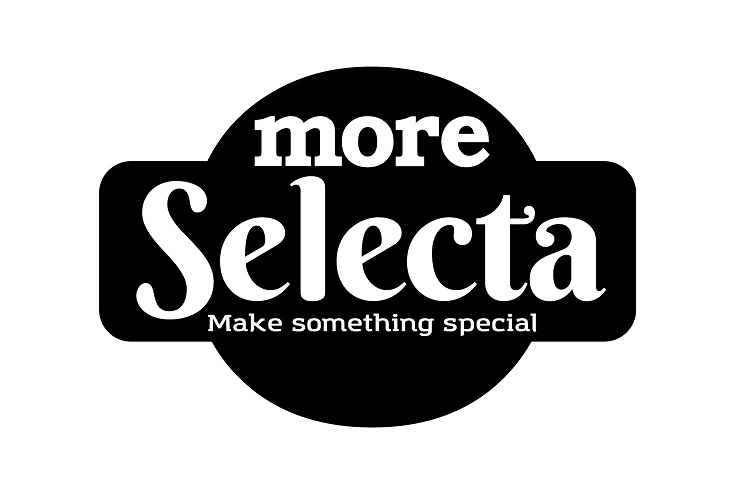 More Selecta Make Something Special Device mark 3841033 Trademark