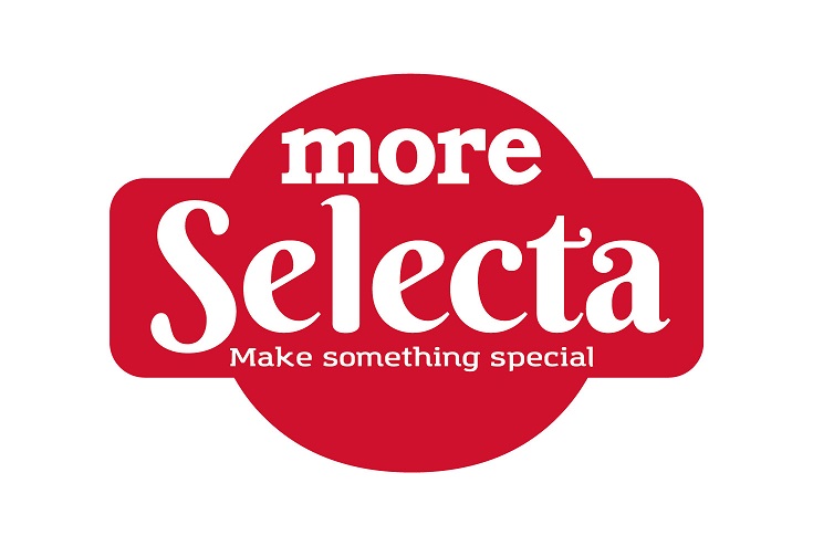More Selecta Make Something Special Device mark 3841036 Trademark