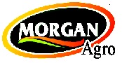 Morgan Agro Device mark 3874647 Trademark
