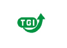 Tgi Device mark 3877445 Trademark