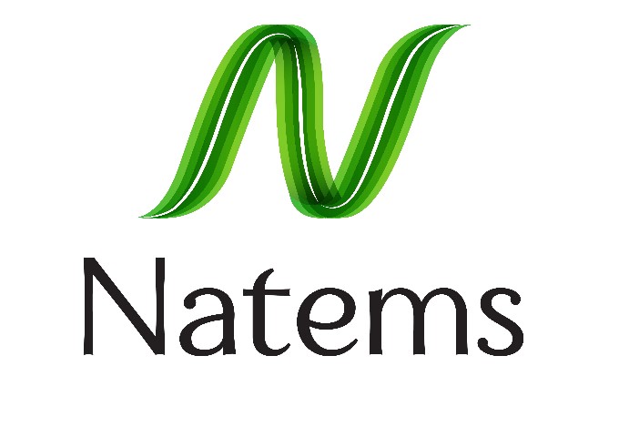 Natems With N Logo Device mark 3877896 Trademark