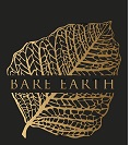 Bare Earth Device mark 3897366 Trademark