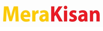 Merakisan Logo Device mark 3879979 Trademark