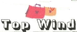 Top Wind Device mark 3880481 Trademark